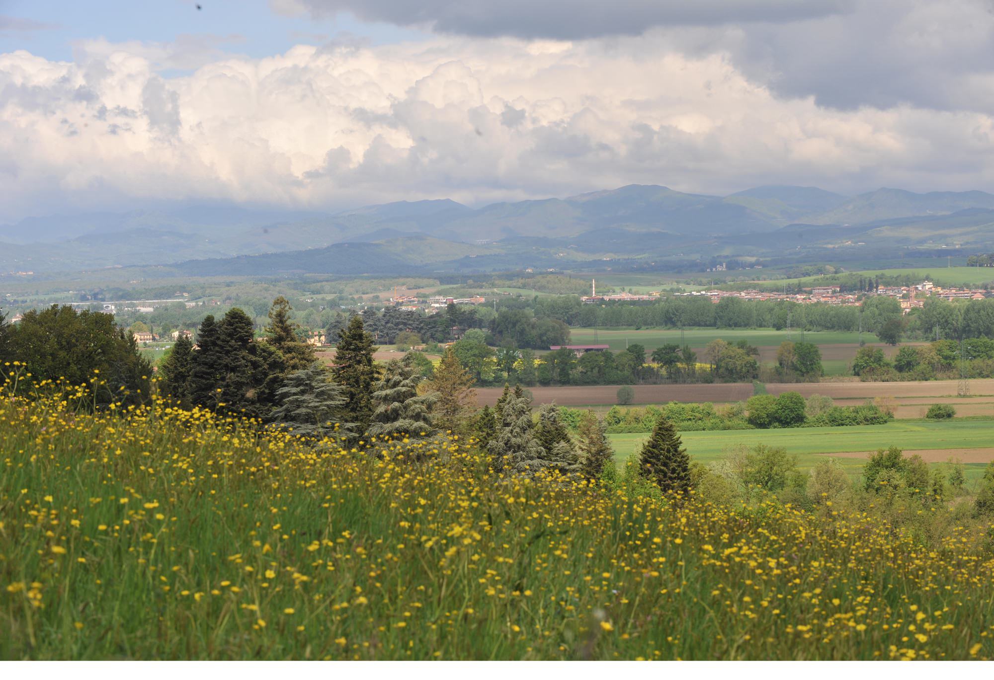 meet annemasse