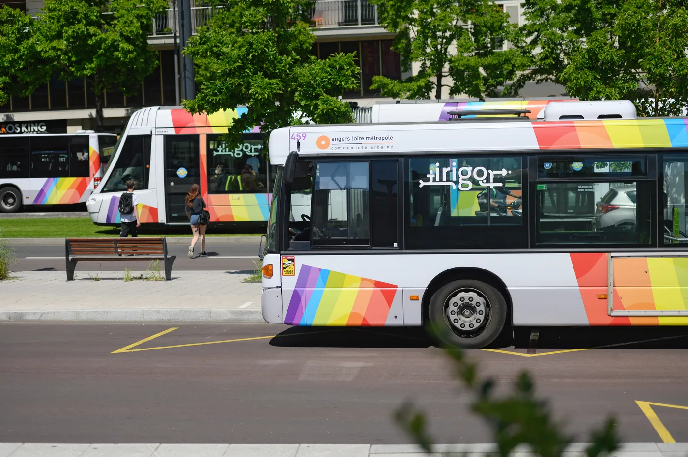 photo Bus + Tram Angers