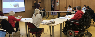 Bibus - comite usagers