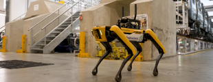 The robot dog